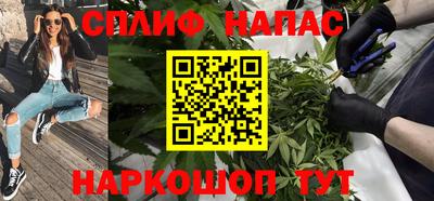 прущие грибы Кунгур