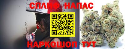 прущие грибы Кунгур